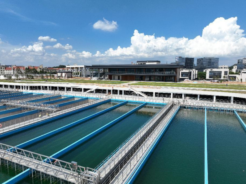 东莞水务集团：三线并进勇担经济责任，以“水力量”深耕“百千万工程”   