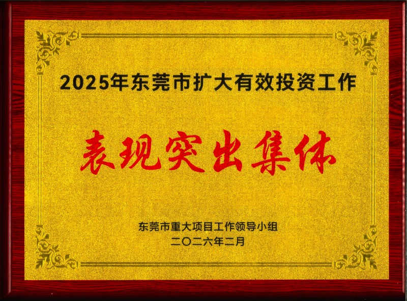 实干担当践初心｜水务环境集团获评全市2025年扩大有效投资工作表现突出集体