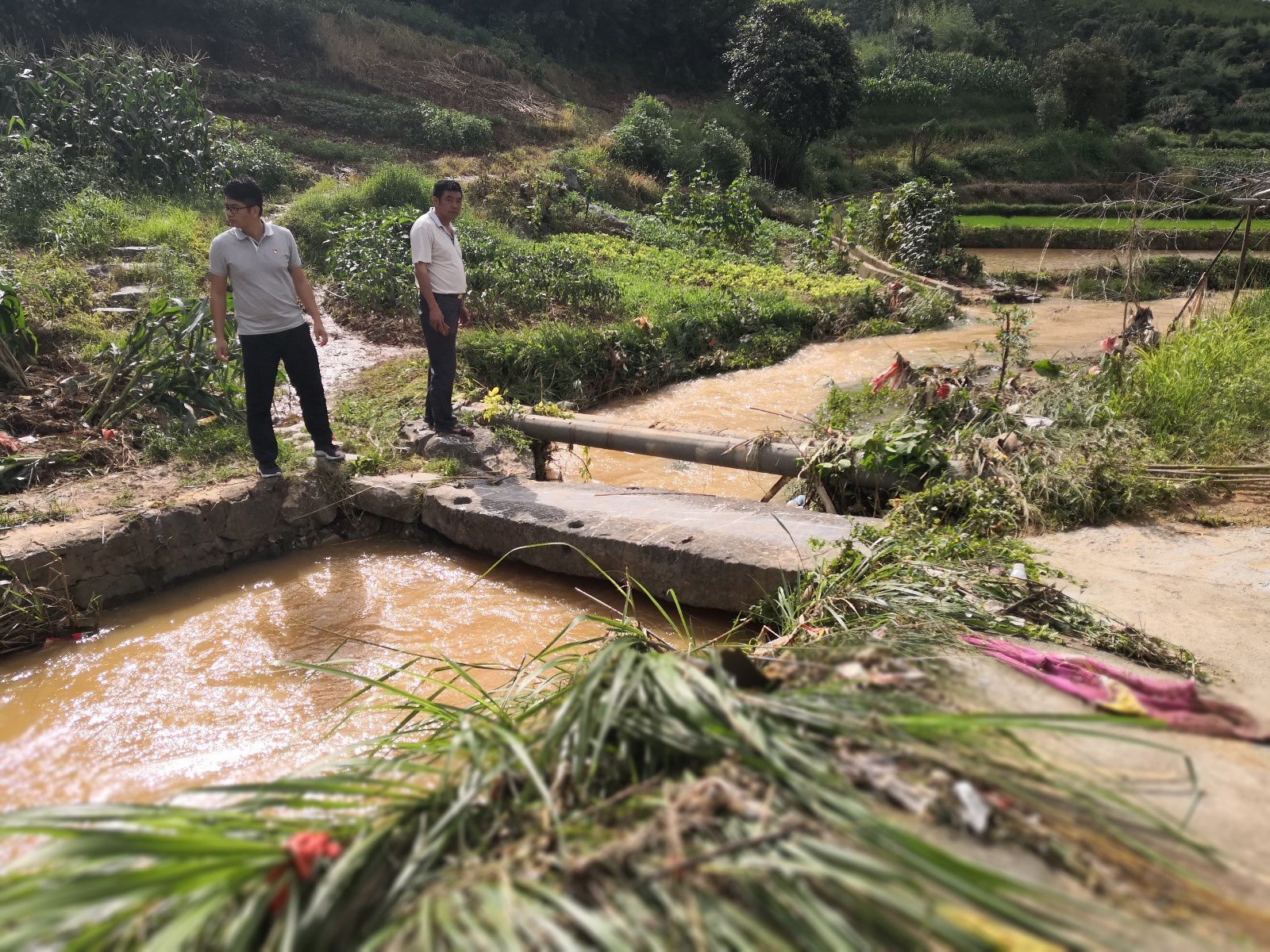 15-图为东江水务公司紫溪村驻村第一书记李文成（左一）走访了解大雨对村中农业生产影响.jpg
