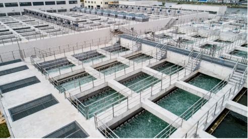 wps2359.tmp.jpg wps2359.tmp.jpg