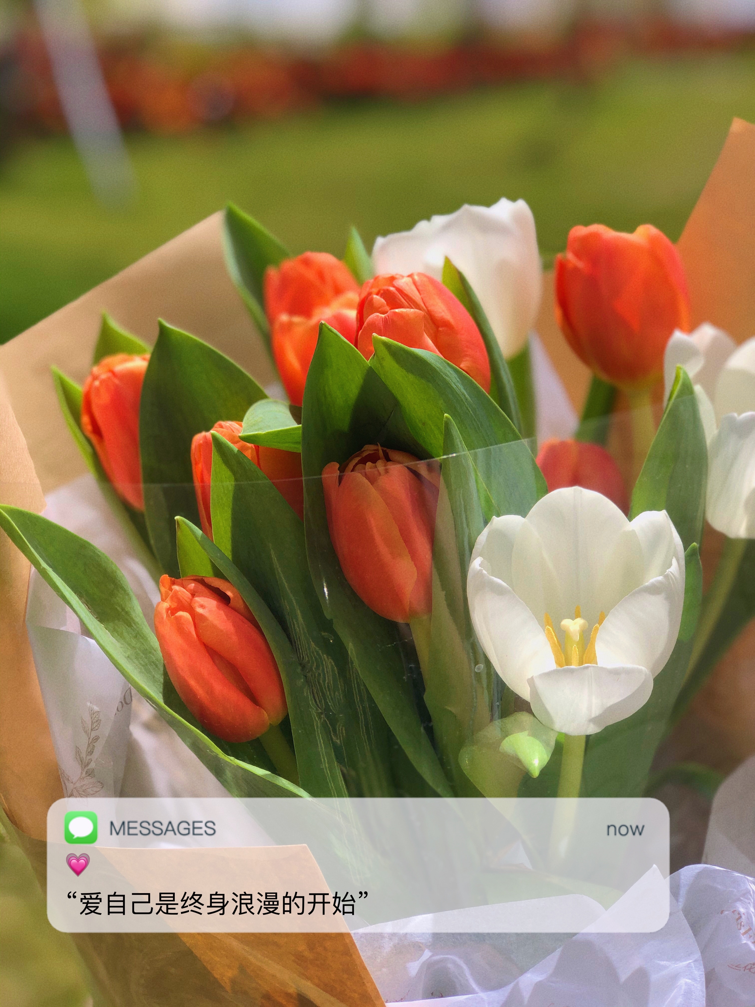 微信图片_20220308123033.jpg 微信图片_20220308123033.jpg