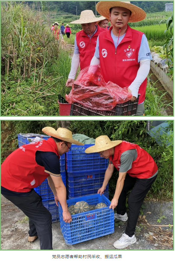 1692940892598.png 1692940892598.png