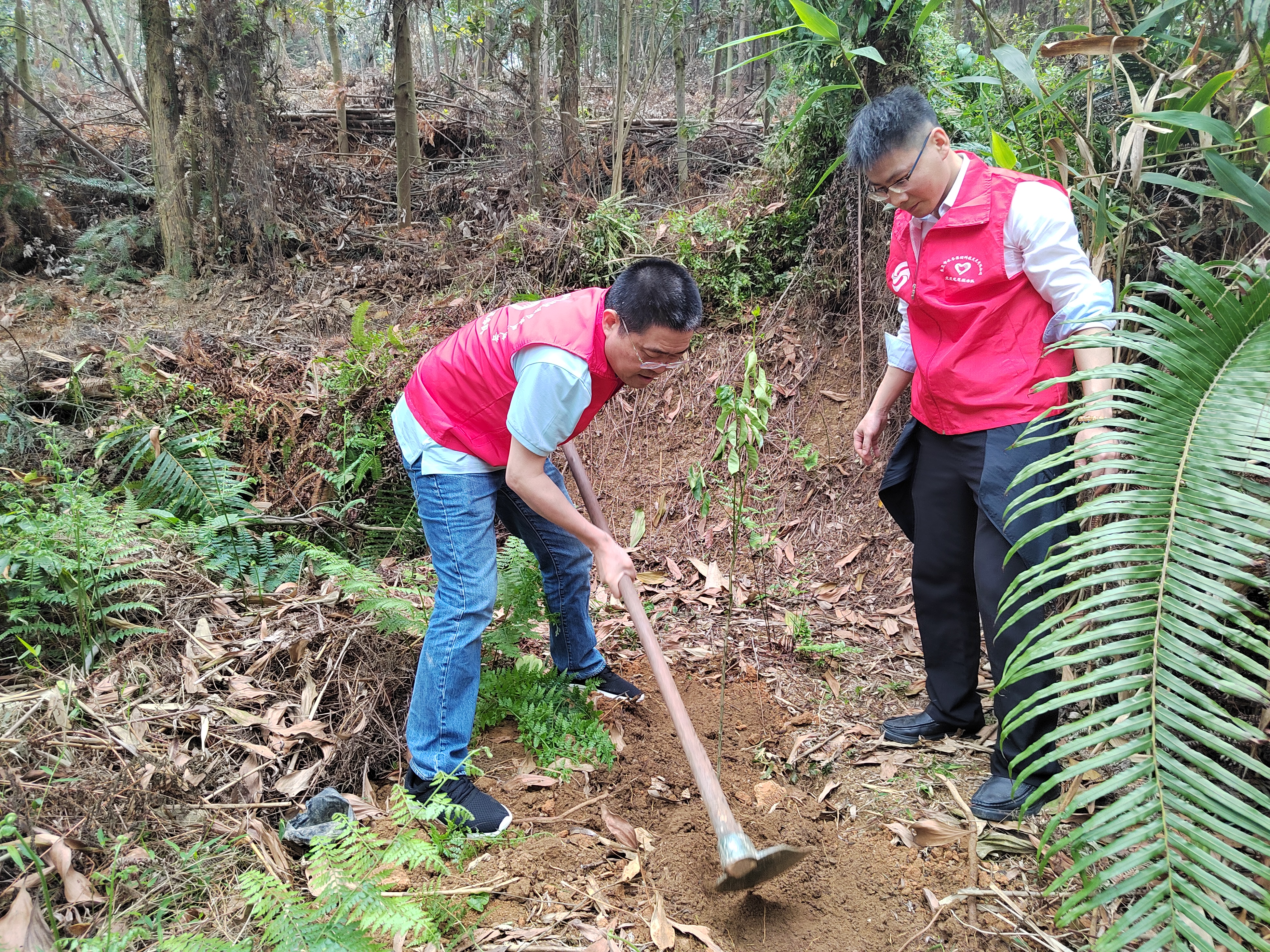 微信图片_20240403093553.jpg 微信图片_20240403093553.jpg