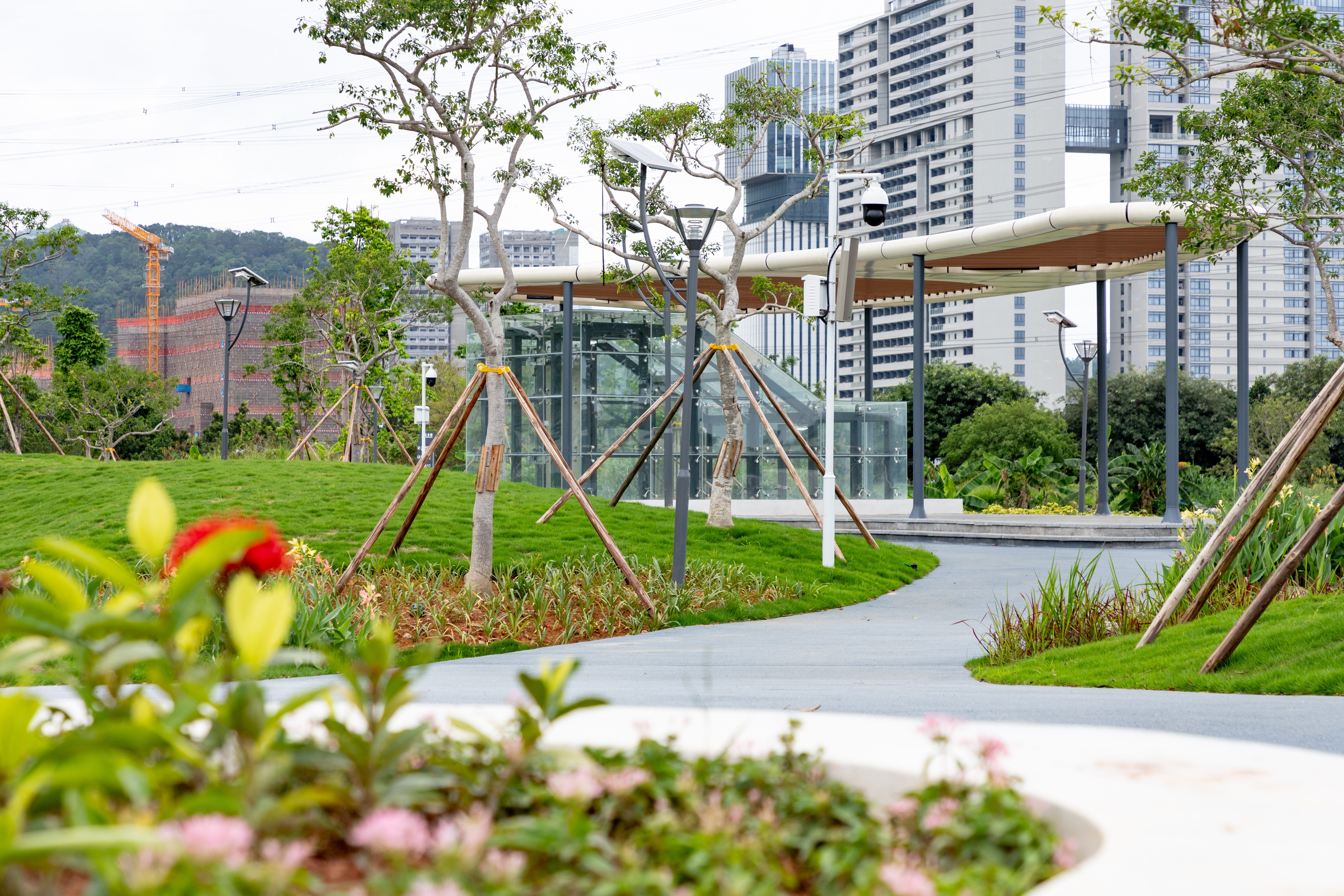 IMG_9982.jpg IMG_9982.jpg