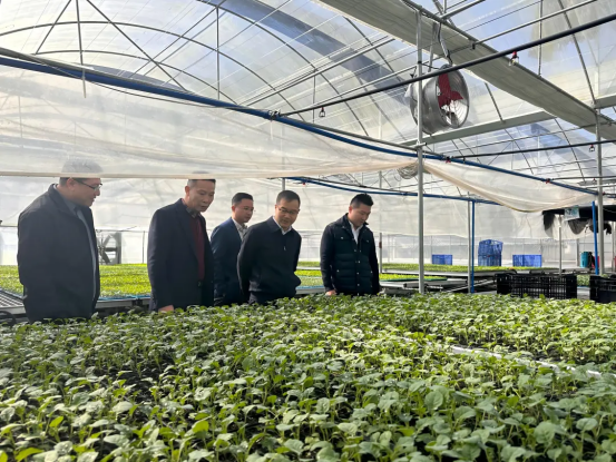 汇聚水务力量,共绘梅花新篇-乡村振兴调研1328.png 汇聚水务力量,共绘梅花新篇-乡村振兴调研1328.png