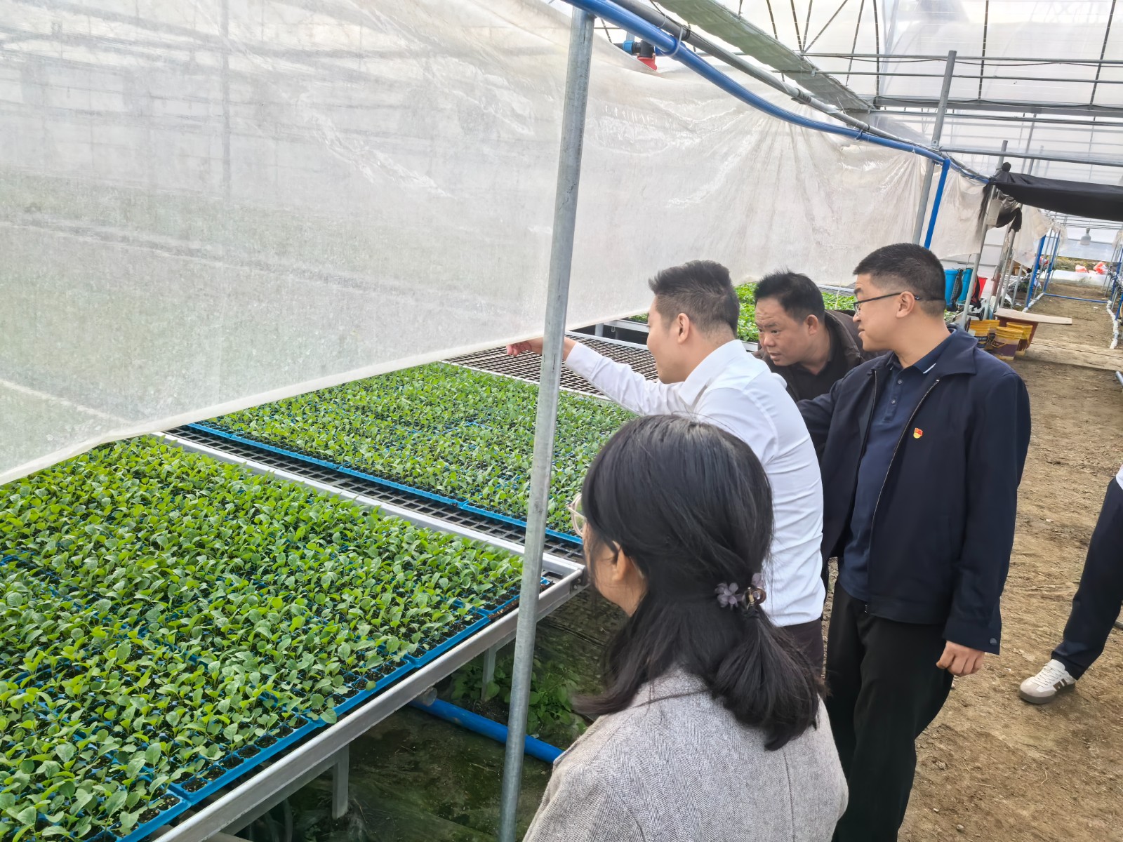 图注：科技公司调研组参观梅花镇特色作物新技术新品种示范基地 (2).jpg